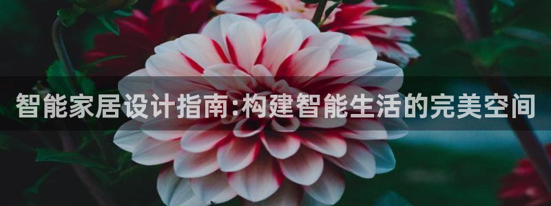 UG环球代理